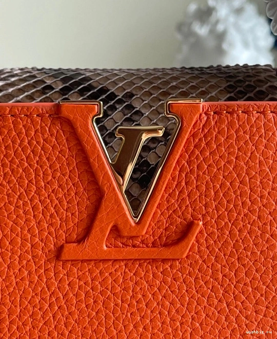 WIS VUITTON CAPUCINES MINI LOUIS 0111